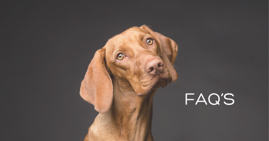 HELPFUL ARTICLES 2 1024x538